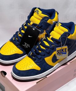 Dunk High Pro SB Michigan